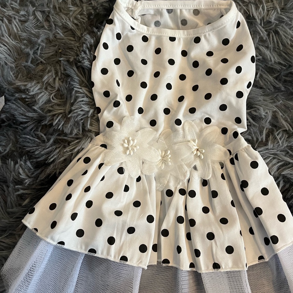Doggy dress